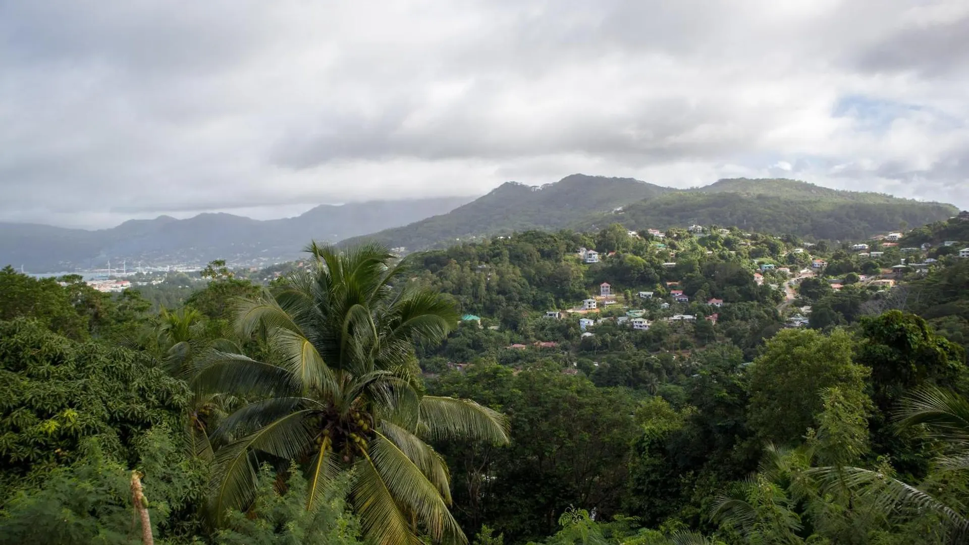Mountain Apartments Anse Etoile