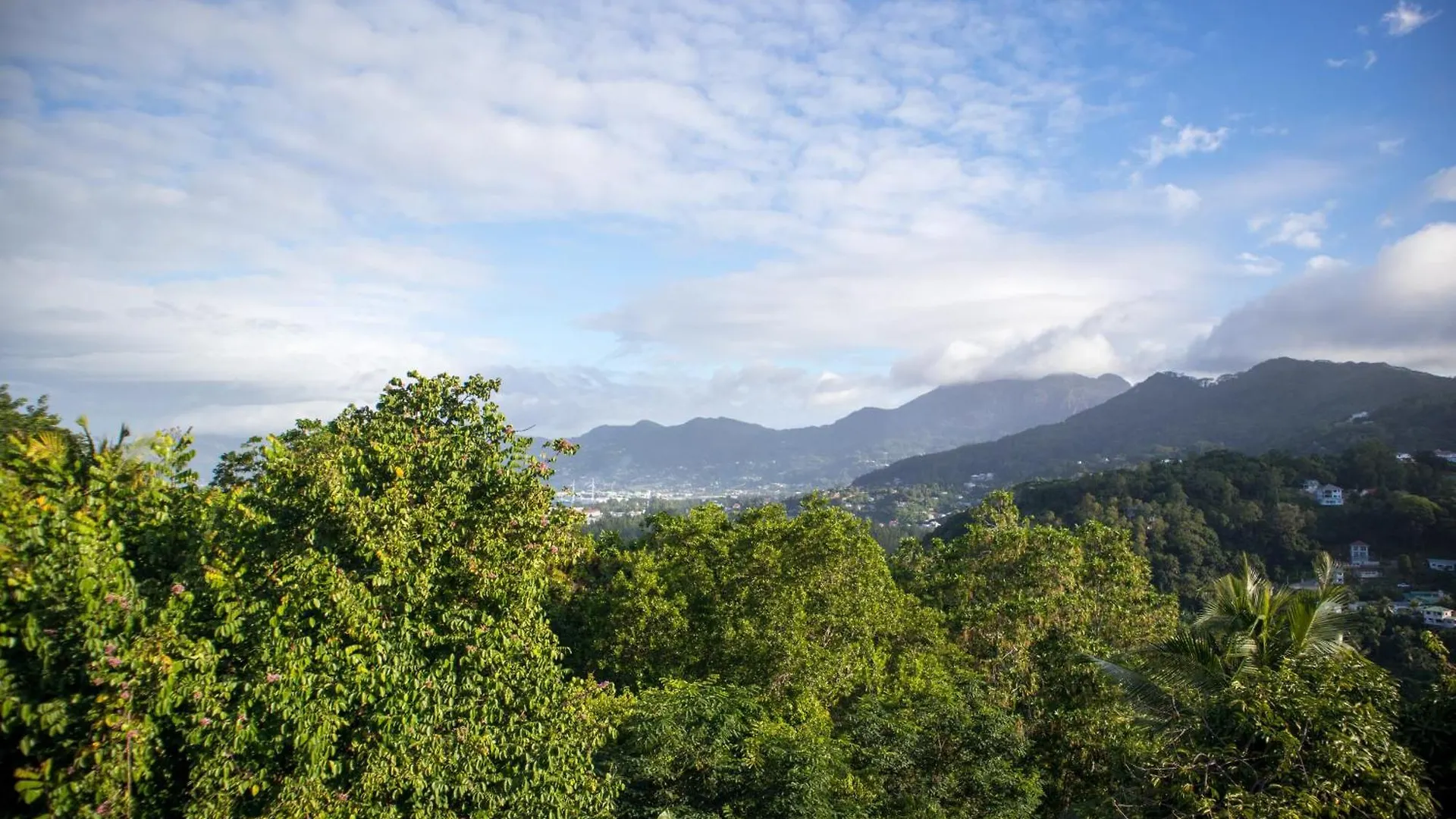 Mountain Apartments Anse Etoile